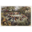 Richard Doyle illustration for Fairyland book. Elf teaching the young birds to sing
