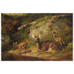 Doe and Two Fawns by Arthur Fitzwilliam Tait  1882. Deer inside forest.