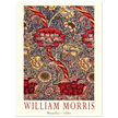 William Morris Wandle  from printed cotton original.