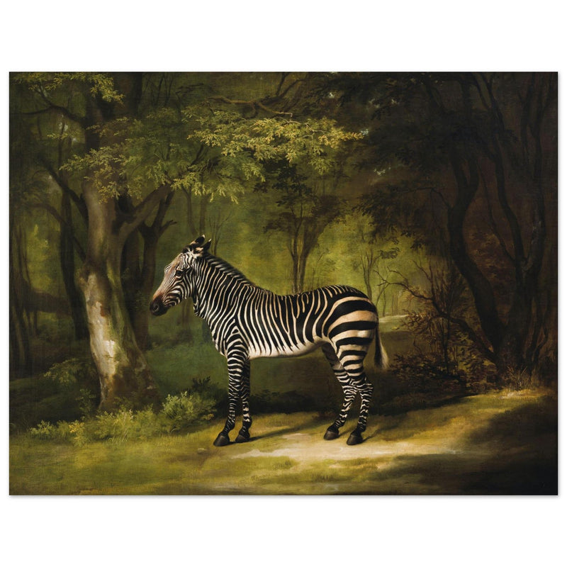 Zebra animal painting by George Stubbs.