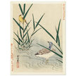 Water bird looking at yellow songbird by Kano Tsunenobu, 1893.