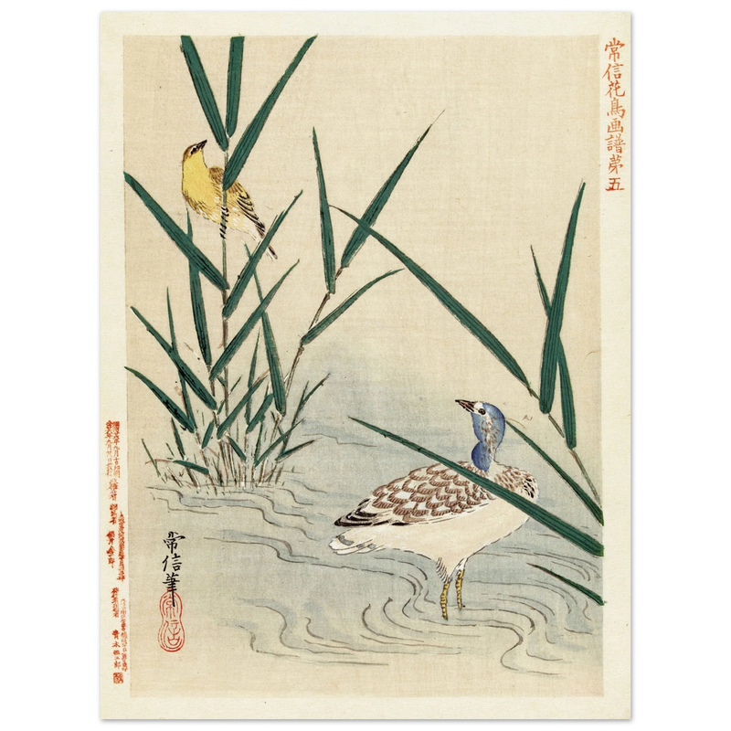 Water bird looking at yellow songbird by Kano Tsunenobu, 1893.