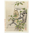 Owl on branch by Kano Tsunenobu, 1893.