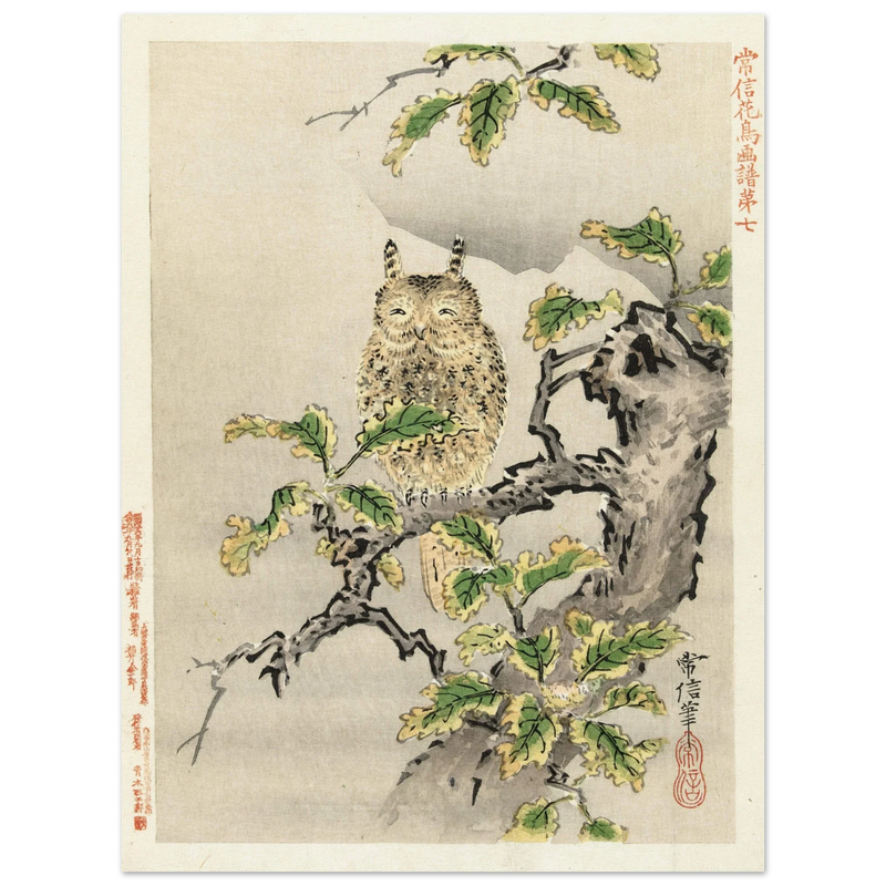 Owl on branch by Kano Tsunenobu, 1893.