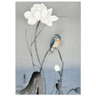 Kingfisher with Lotus Flower by Ohara Koson, ,