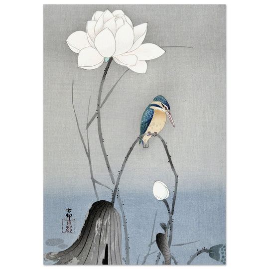 Kingfisher with Lotus Flower by Ohara Koson, ,