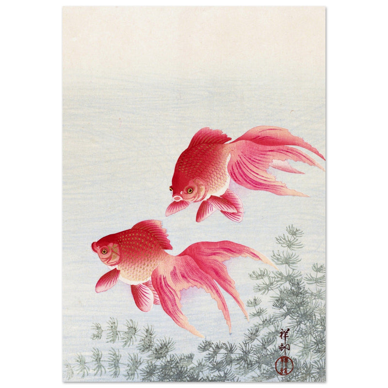 Two veiltail goldfish by Ohara Koson