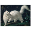 White Angora Cat painting by Jean-Jacques Bachelier poster