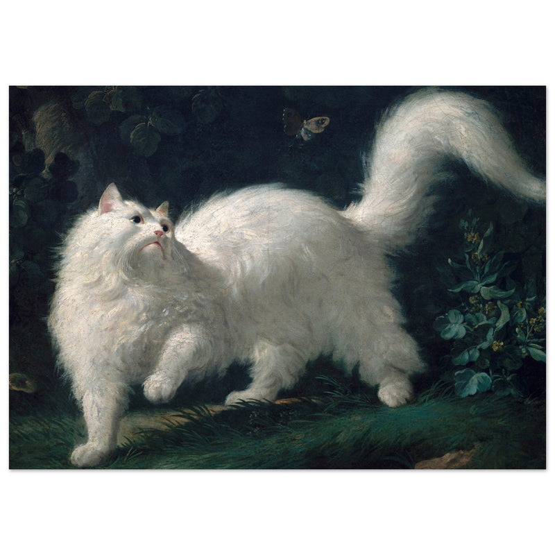 White Angora Cat painting by Jean-Jacques Bachelier poster