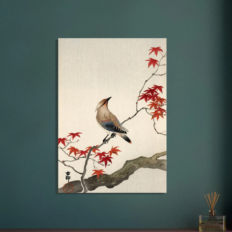 Japanese waxwing on maple by Ohara Koson