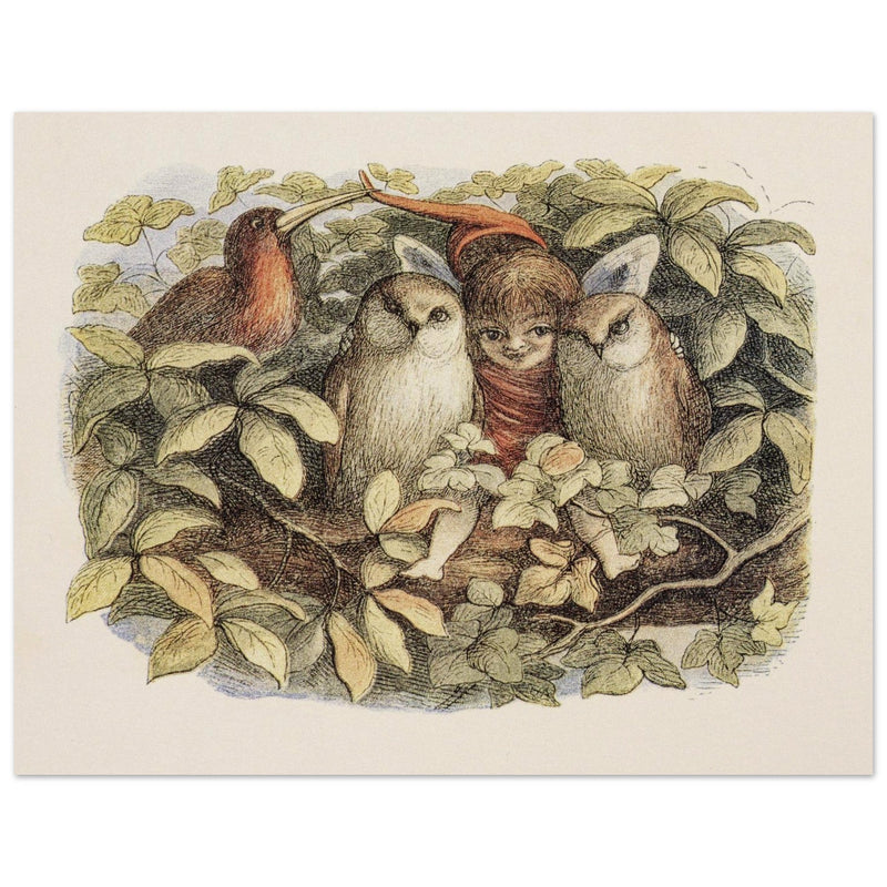Richard Doyle illustration for Fairyland book. Elves and owls