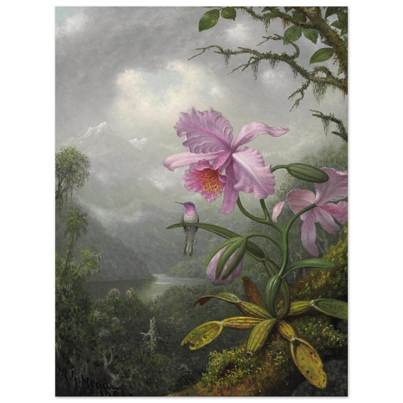 Hummingbird Perched on the Orchid Plant  by Martin Johnson Heade