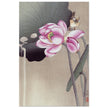 Songbird and Lotus by Ohara Koson woodblock print reproduction