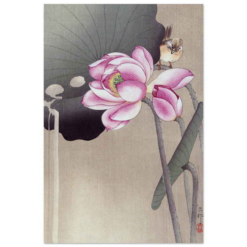 Songbird and Lotus by Ohara Koson woodblock print reproduction