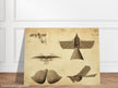 Different flying machines from the past. Old vintage airplanes. Aviation history.