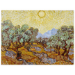 Olive Trees by Vincent Van Gogh