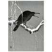 Crow on snowy tree branch by Ohara Koson, ,
