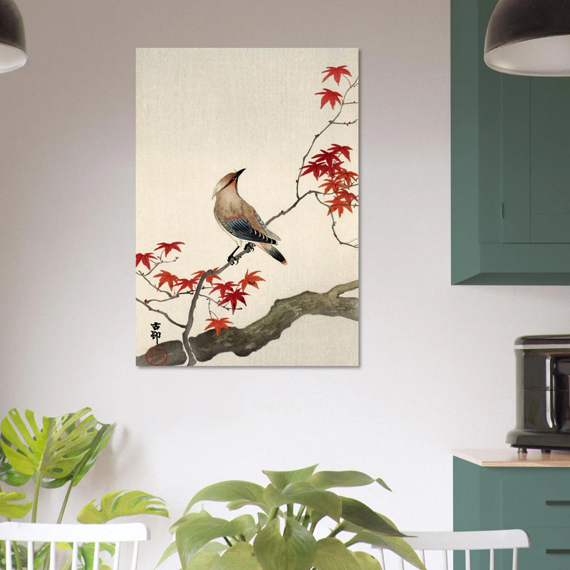 Japanese waxwing on maple by Ohara Koson