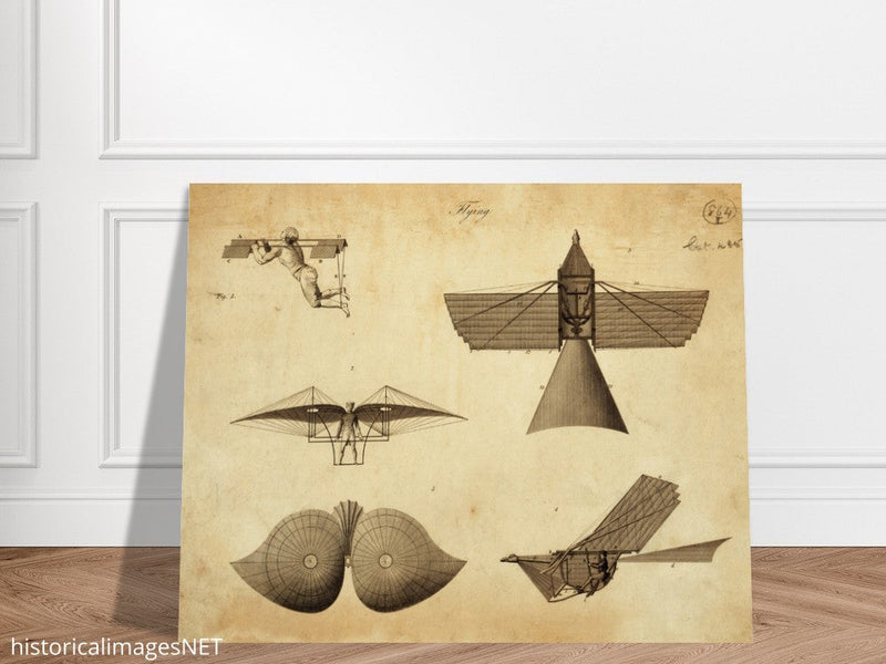 Different flying machines from the past. Old vintage airplanes. Aviation history.