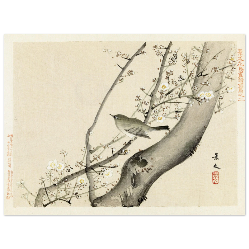 Bird in tree with white blossom by Matsumura Keibun, 1892