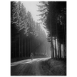 World War 2 poster. American soldier walking along forest near Bastogne .