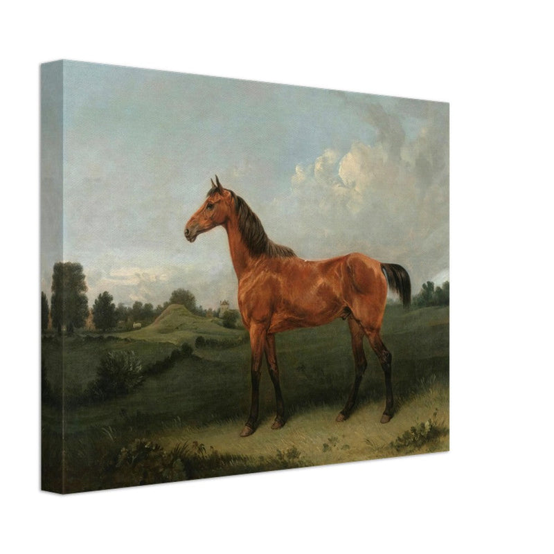 A Bay Horse in a Field by Edmund Bristow old painting 1825.