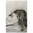 A Roaring tiger by Ohara Koson  woodblock print reproduction