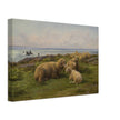 Sheep by the Sea by Rosa Bonheur.