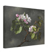 Apple Blossoms flowers by Martin Johnson Heade
