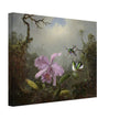Cattleya Orchid with Two Brazilian Hummingbirds by Martin Johnson Heade