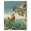 About Robins vintage cute bird illustration by Lady Lindsay.