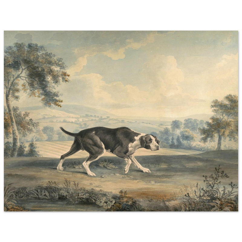 The Spanish Pointer watercolor painting by John Buckler after George Stubbs.