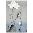 Kingfisher with Lotus Flower by Ohara Koson, ,