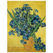 Irises by Vincent Van Gogh