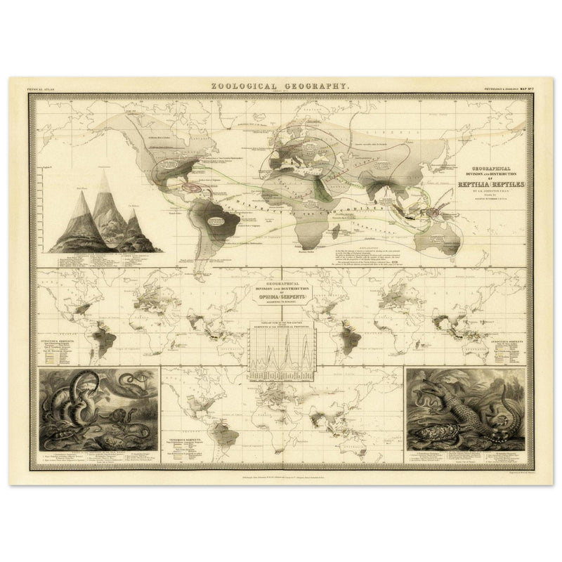 Reptile distribution old world map. Print  of zoology geography 1848 by Alexander Keith Johnston