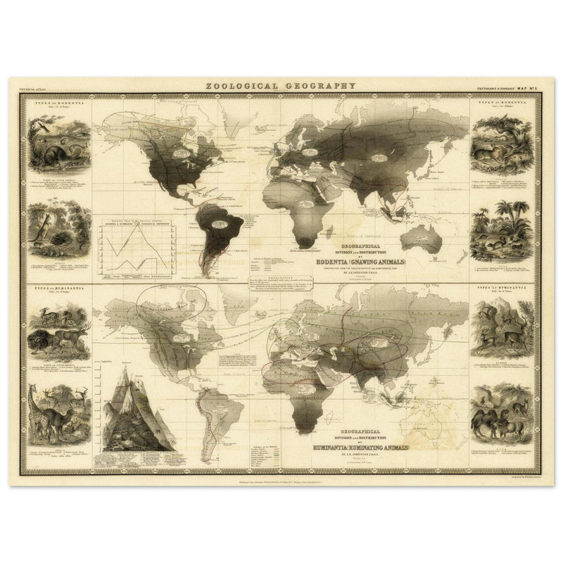 Old map of Gnawing animals distribution 1871 by Alexander Keith Johnston