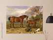 Old painting of horses by James Ward 1835. Portrait of Reformer, Blucher, Tory and Crib.