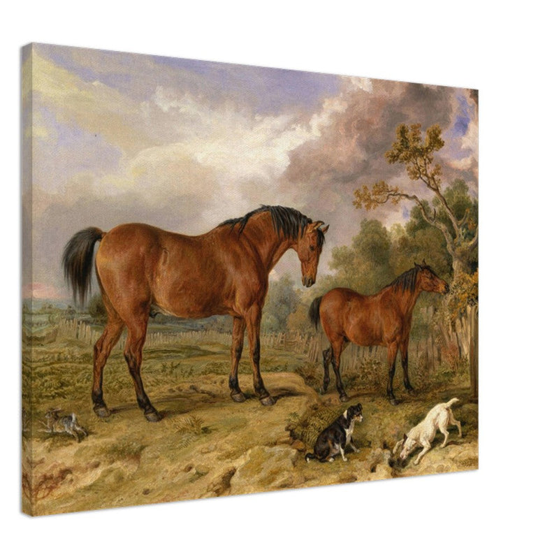 Old painting of horses by James Ward 1835. Portrait of Reformer, Blucher, Tory and Crib.
