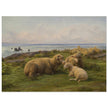 Sheep by the Sea by Rosa Bonheur.