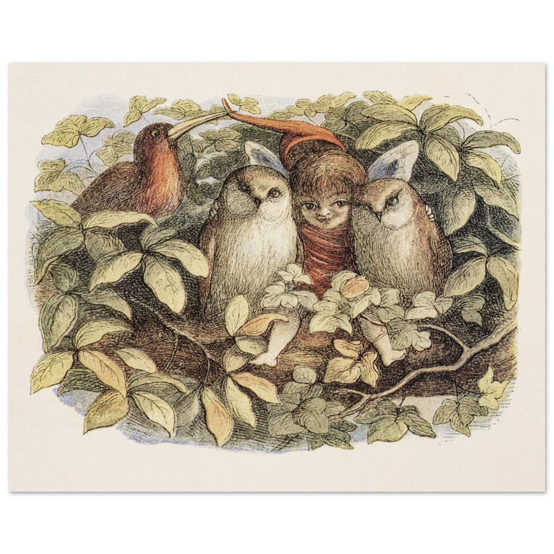 Richard Doyle illustration for Fairyland book. Elves and owls