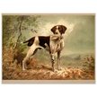 Hunting dog vintage painting poster with partridge in mouth