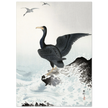 Ohara Koson Red-faced cormorant on rock, woodblock print  art
