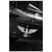 Eagle emblem on airplane Vintage aircraft old photograph reproduction