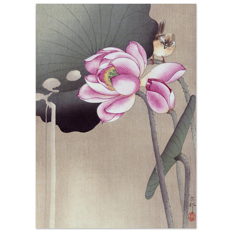 Songbird and Lotus by Ohara Koson woodblock print reproduction