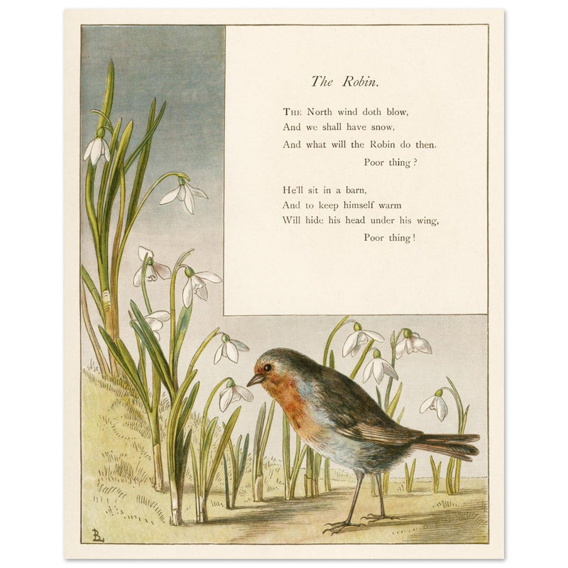 The Robin poem About Robins bird illustration by Lady Lindsay.
