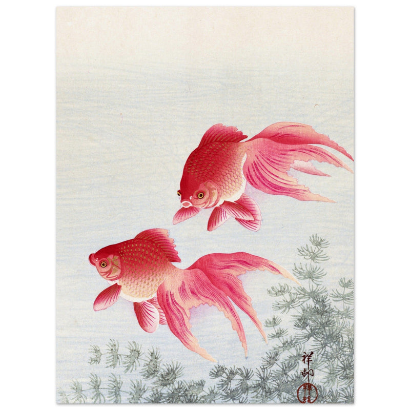 Two veiltail goldfish by Ohara Koson