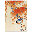 Great tit on paulownia branch by Ohara Koson woodblock print reproduction .