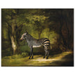 Zebra animal painting by George Stubbs.