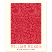 William Morris Bird and Anemone.