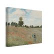 Poppy Field by Claude Monet